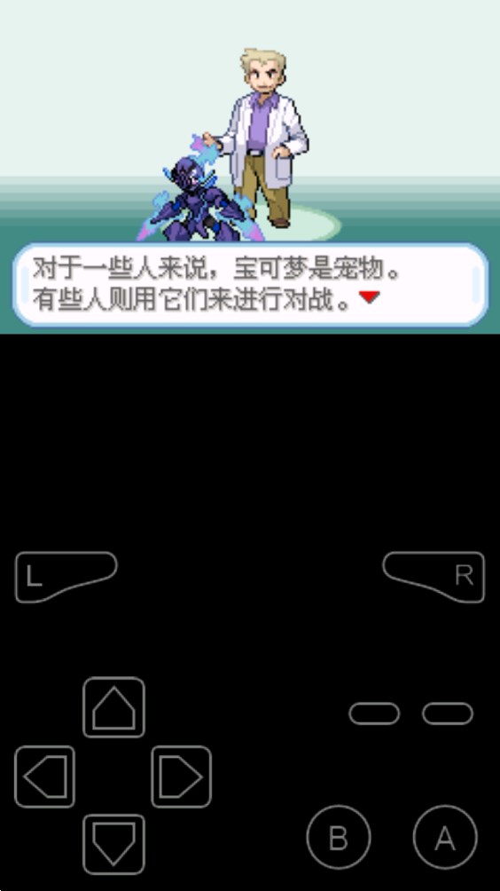 口袋妖怪不歸之殤暗版