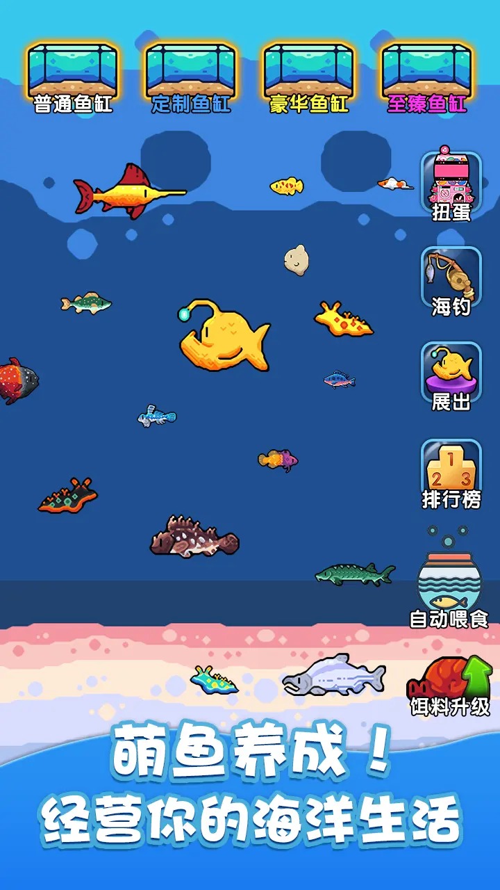快來養(yǎng)魚官方手游