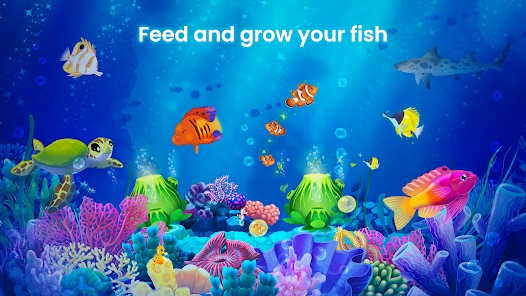 飛濺魚類保護(hù)區(qū)官方版