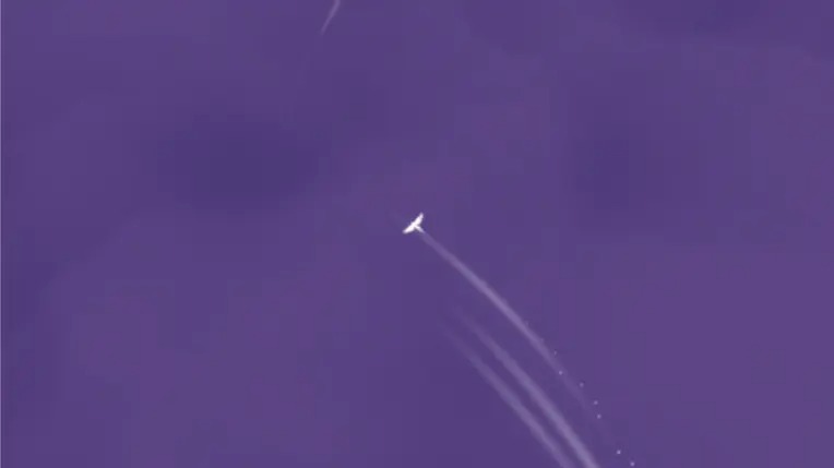 天空之鳥游戲官方版