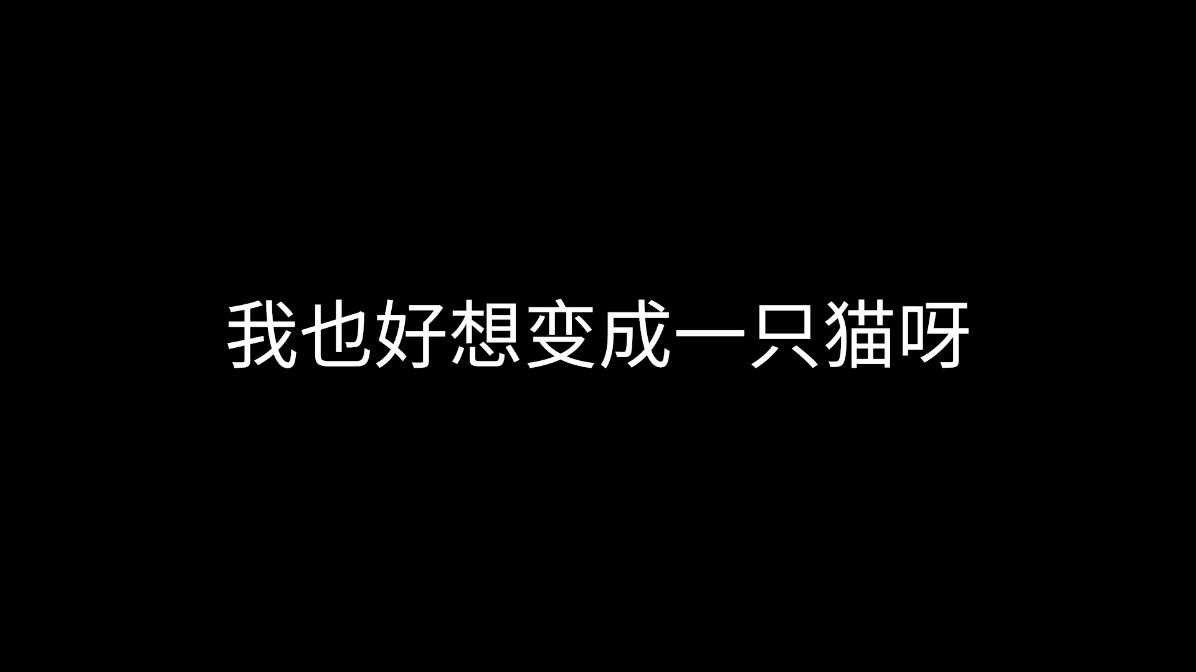 成為貓咪的游戲