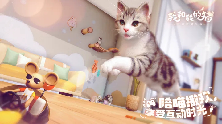 我與貓咪的游戲官方版