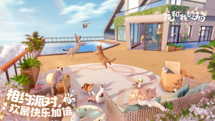我與貓咪的游戲官方版