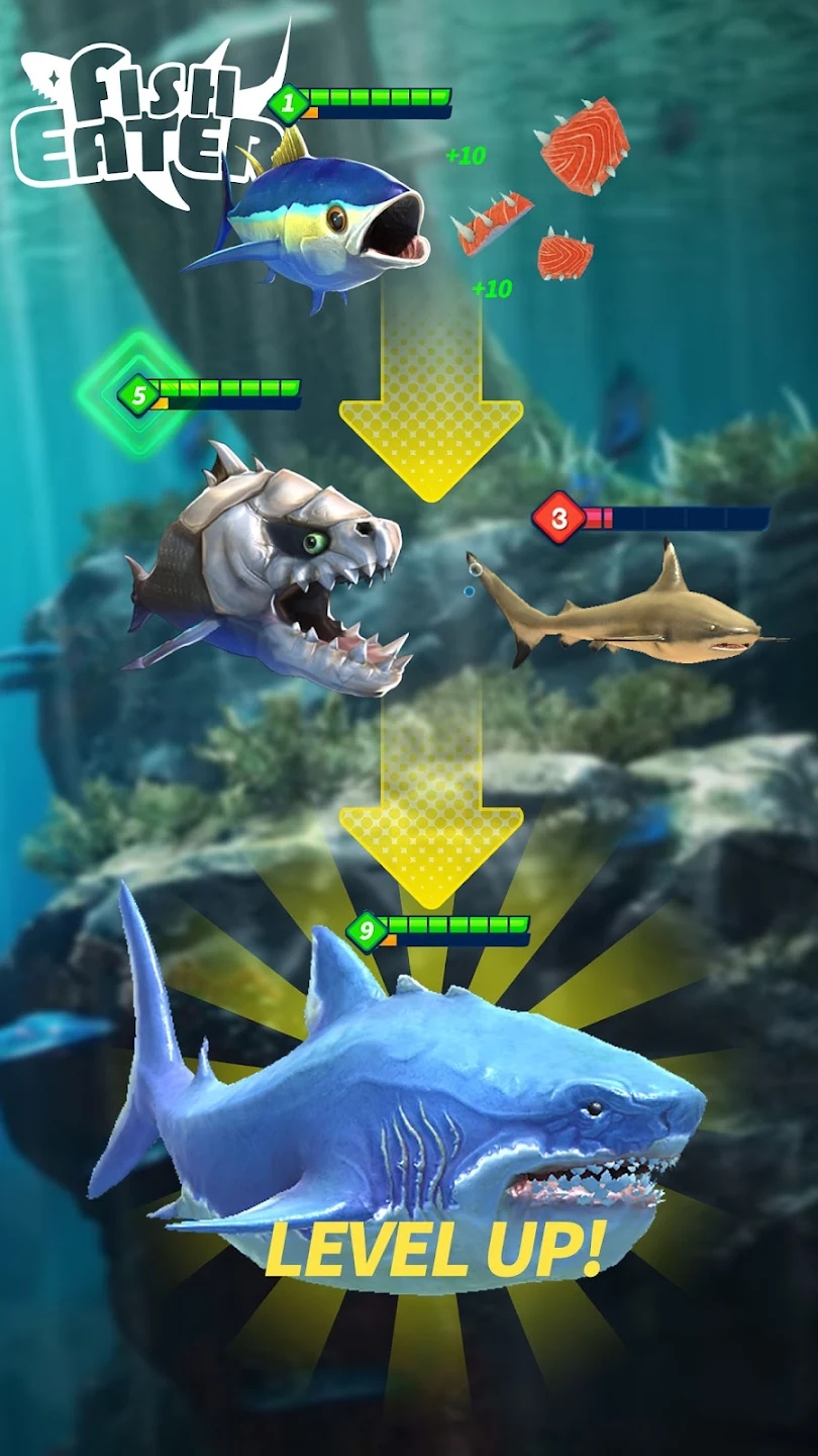 鯊魚進(jìn)化論最新版