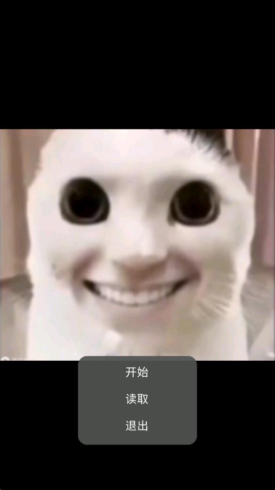 貓貓驚魂1.1版手機(jī)版