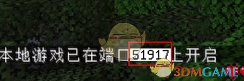 《pcl2啟動(dòng)器》聯(lián)機(jī)教程