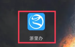 《浙里辦》查詢繳款記錄方法