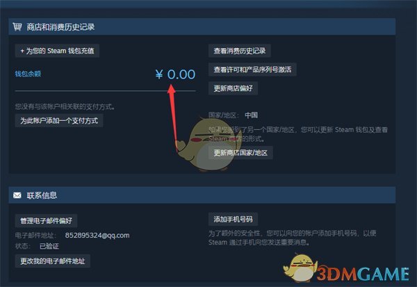 Steam錢包余額查看方法