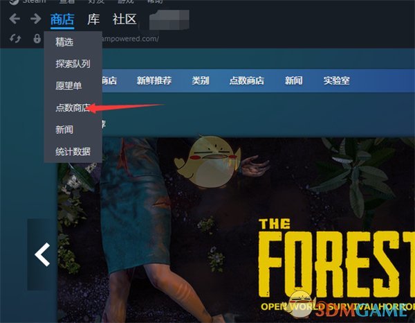 Steam點(diǎn)數(shù)記錄查看步驟
