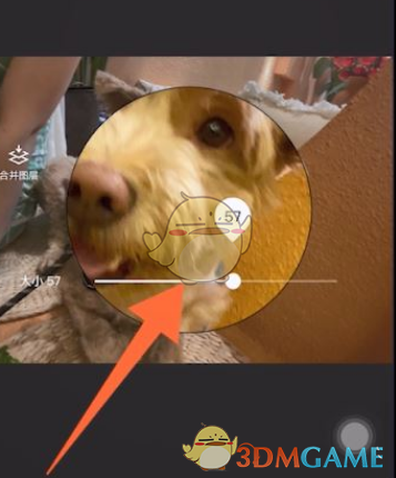 《醒圖》放大鏡特效使用方法