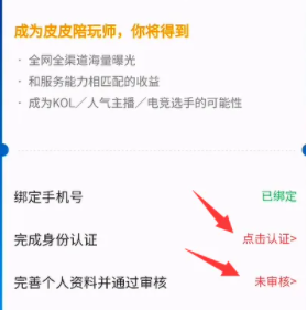 《皮皮陪玩》申請成為陪玩方法