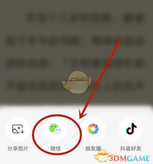 《番茄小說》分享鏈接方法