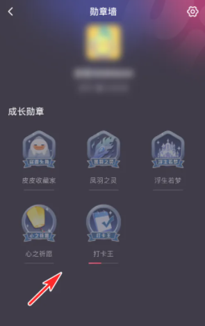 《皮皮陪玩》勛章查看方法