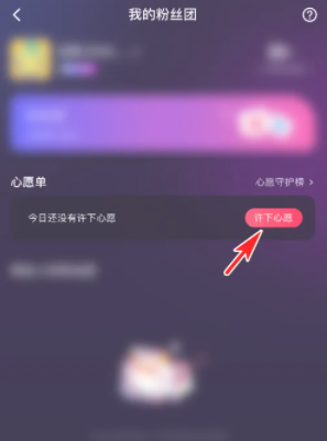 皮皮陪玩許愿步驟示意圖