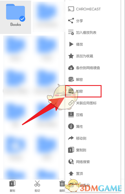 選擇加密選項(xiàng)