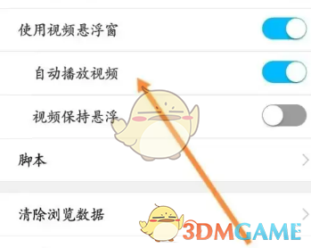 私密瀏覽器自動(dòng)播放視頻設(shè)置步驟3
