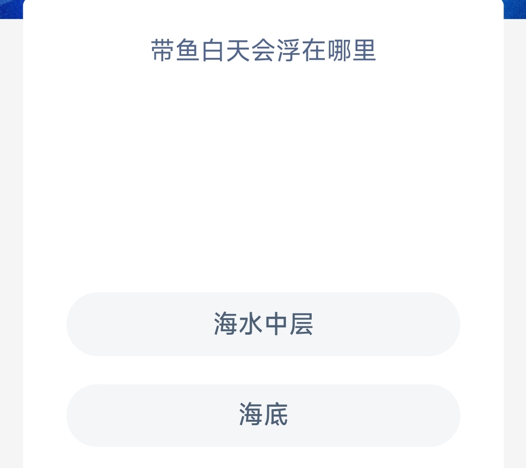 帶魚白天會浮在哪里