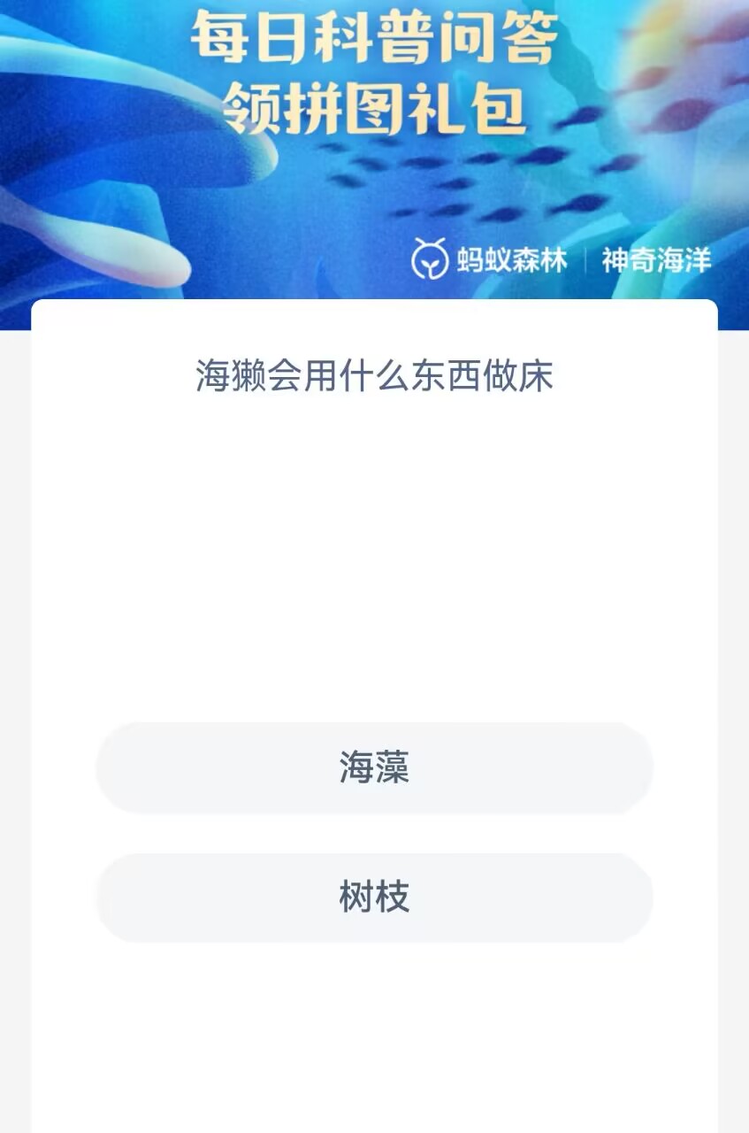 海獺用什么材料來(lái)做床