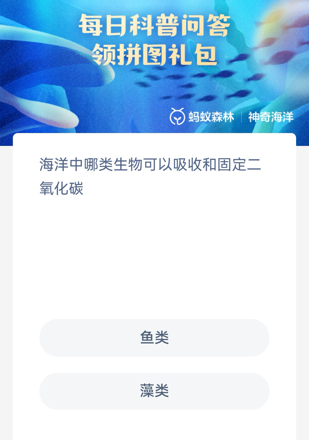 海洋中哪類生物可以吸收和固定二氧化碳