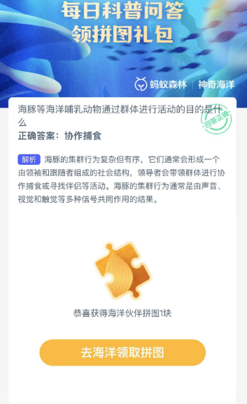海豚等海洋哺乳動物通過群體進行活動的目的是什么