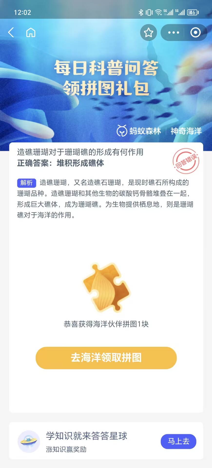 造礁珊瑚在珊瑚礁形成中的作用