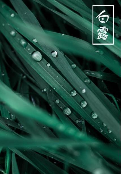露沾蔬草白天氣轉(zhuǎn)青高描寫的是哪個(gè)節(jié)氣的景象
