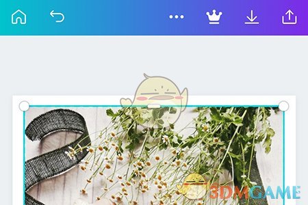 《canva》旋轉(zhuǎn)圖片方法