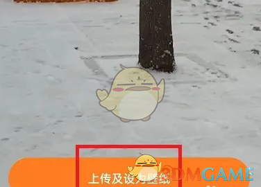 《皮皮壁紙》設(shè)置動(dòng)態(tài)壁紙方法
