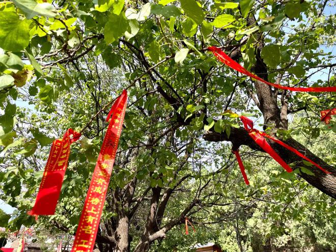 重陽節(jié)古人如何表達對老人的祝福