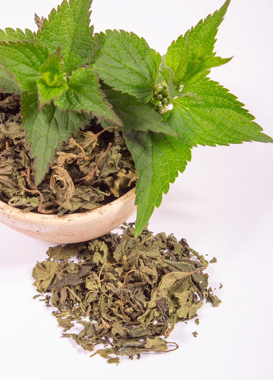 辛棄疾詩(shī)詞連翹首驚過(guò)半夏涼透薄荷裳中提到了幾味中藥