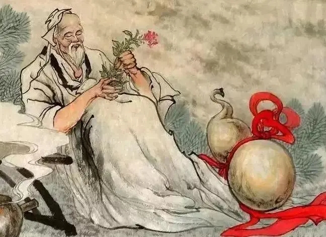 成語懸壺濟(jì)世中的壺指的是哪一種植物