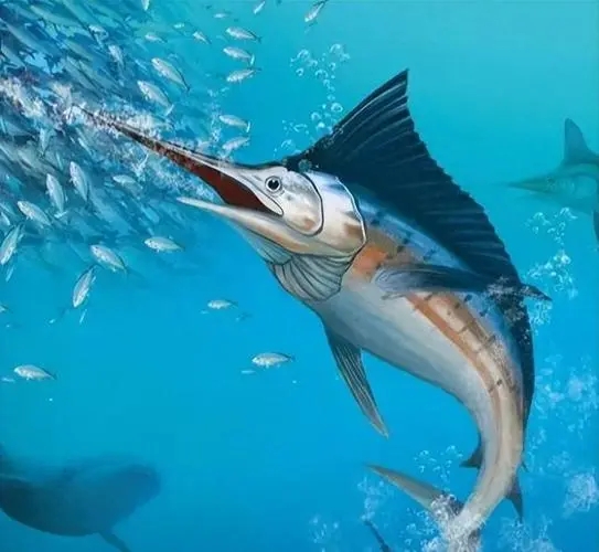 世界上游速最快的魚是什么魚