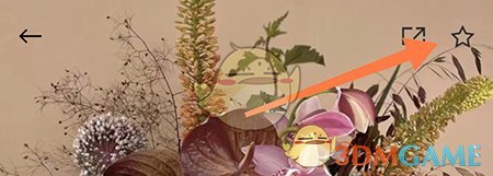 《野獸派》收藏商品方法