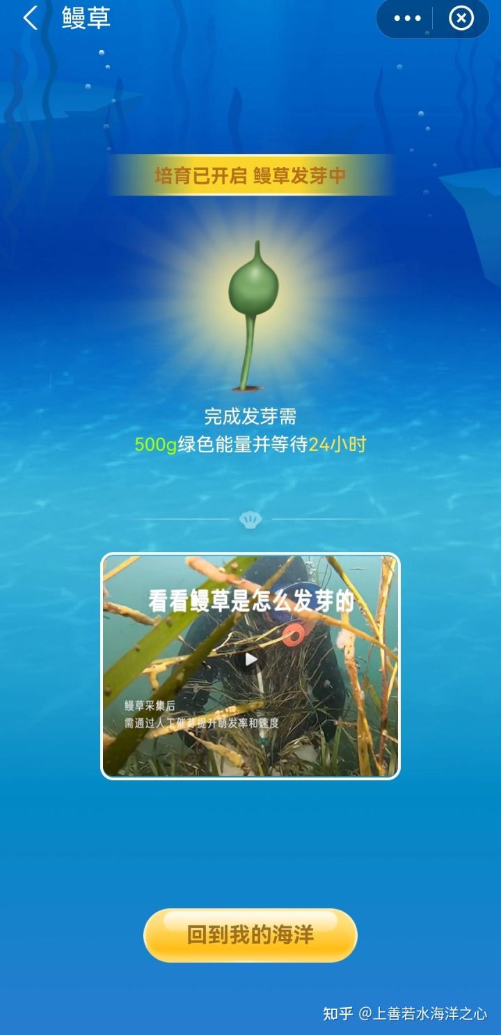 《支付寶》神奇海洋海域6攻略