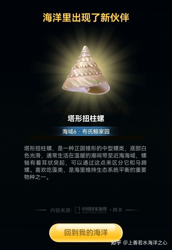 《支付寶》神奇海洋海域6攻略
