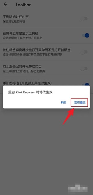 《kiwi瀏覽器》底部顯示工具欄設(shè)置方法
