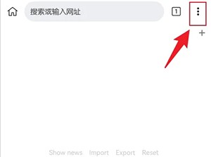 《kiwi瀏覽器》無痕瀏覽設(shè)置方法