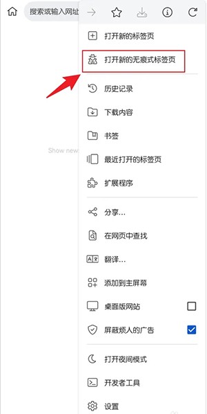 《kiwi瀏覽器》無痕瀏覽設(shè)置方法