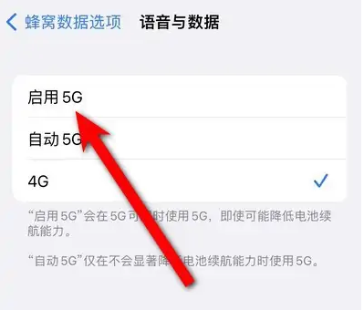 iphone14設(shè)置5g網(wǎng)絡(luò)方法