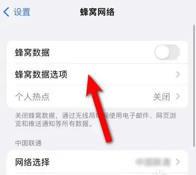 iphone14設(shè)置5g網(wǎng)絡(luò)方法