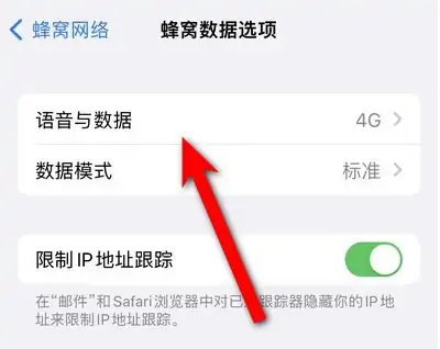 iphone14設(shè)置5g網(wǎng)絡(luò)方法