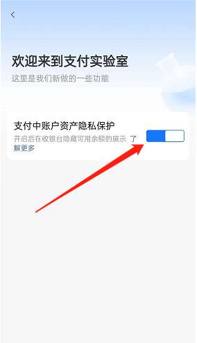 支付寶賬戶隱私保護開啟