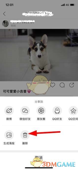 如何刪除綠洲中的動態(tài)