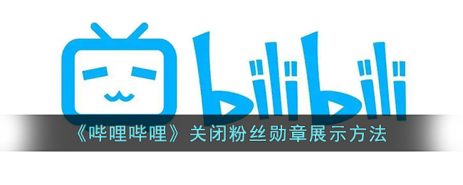 《嗶哩嗶哩》停用粉絲勛章展示