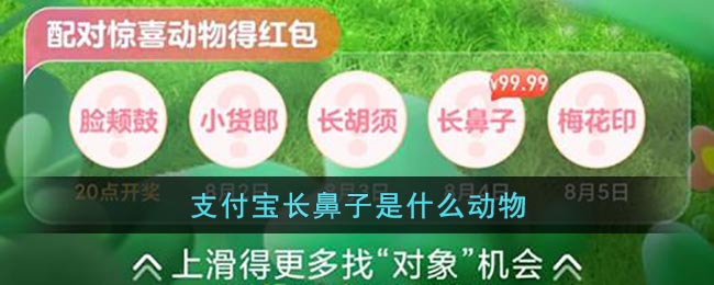 《支付寶》長鼻子動(dòng)物是什么