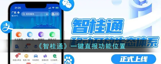 《智桂通》一鍵直報功能介紹