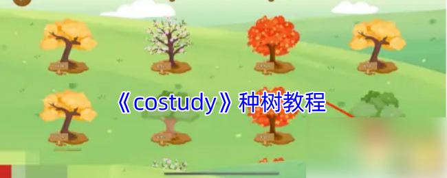 《Costudy》種樹指南