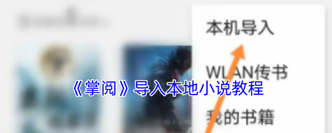 《掌閱》本地小說導(dǎo)入指南