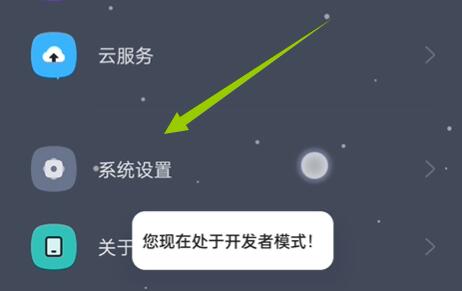 coloros12開發(fā)者模式進(jìn)入方法