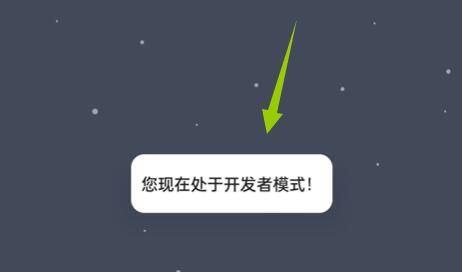 coloros12開發(fā)者模式進(jìn)入方法